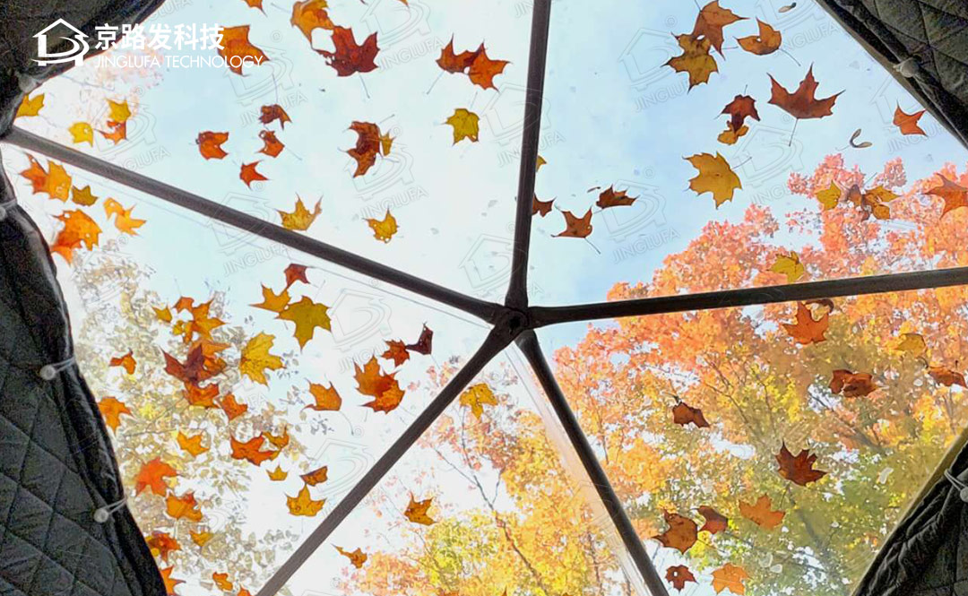 加拿大星空帐篷秋季图片反馈